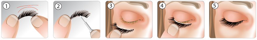 Anleitung Wimpern Anbringen