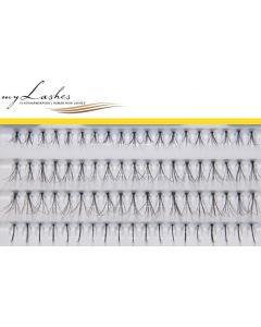 myLashes GoldLine Einzelwimpern No. 8