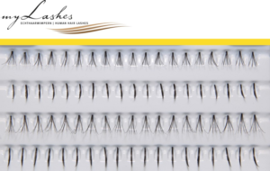Schwarze Single und Flare Lashes myLashes GoldLine Einzelwimpern No. 9 in 8 mm und 10 mm, vollsynthetisch auf Träger