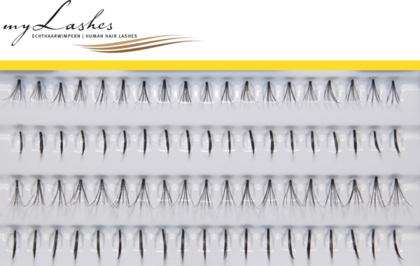 Schwarze Single und Flare Lashes myLashes GoldLine Einzelwimpern No. 9 in 8 mm und 10 mm, vollsynthetisch auf Träger
