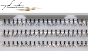 Schwarze Flare Lashes myLashes SilverLine Einzelwimpern No. 17, 60 vollsynthetische Fächerwimpern in 8 und 10 mm auf Träger